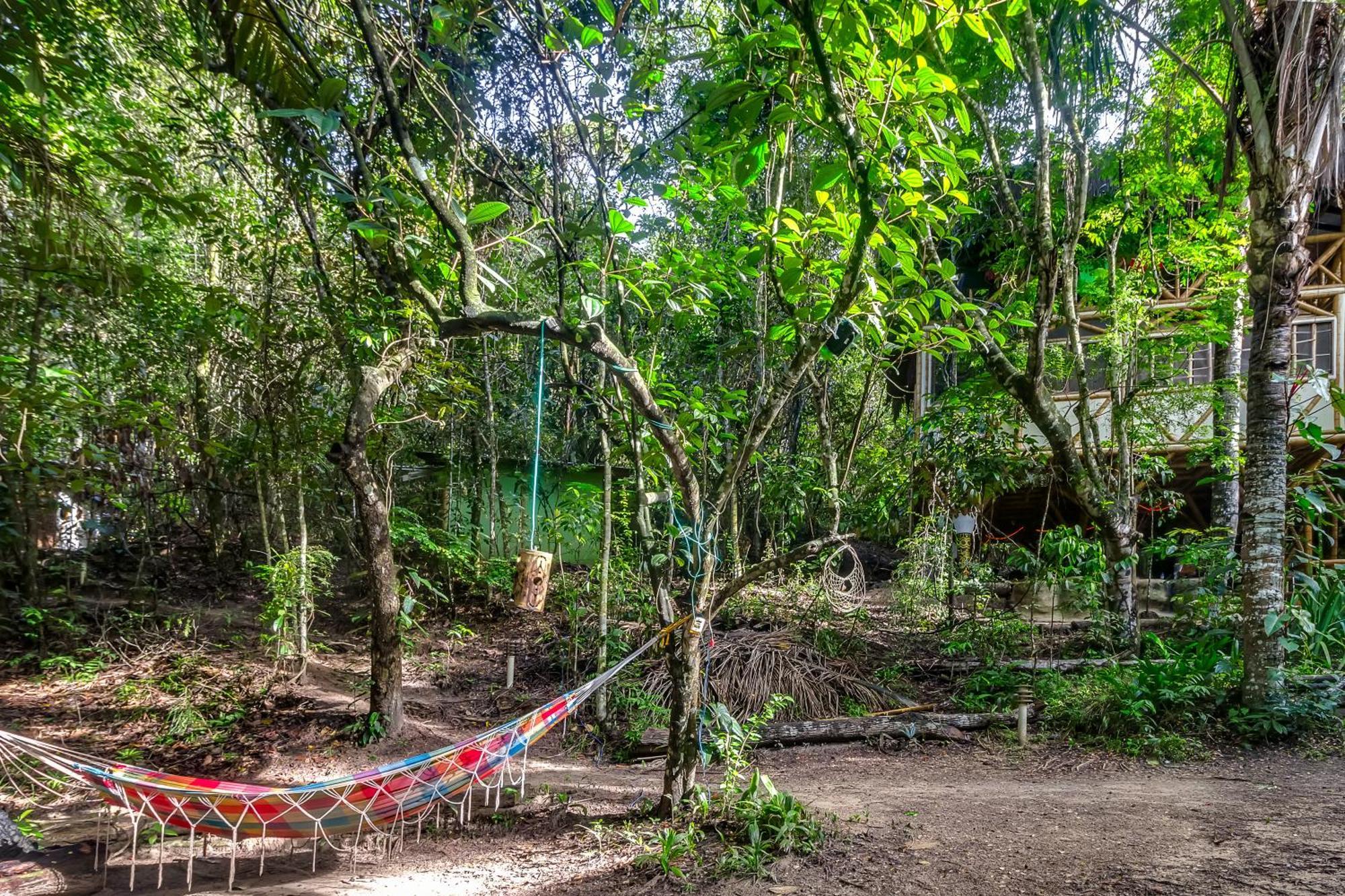 Universo Pol Bamboo Hostel Морру-ді-Сан-Паулу Екстер'єр фото