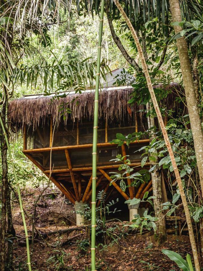 Universo Pol Bamboo Hostel Морру-ді-Сан-Паулу Екстер'єр фото